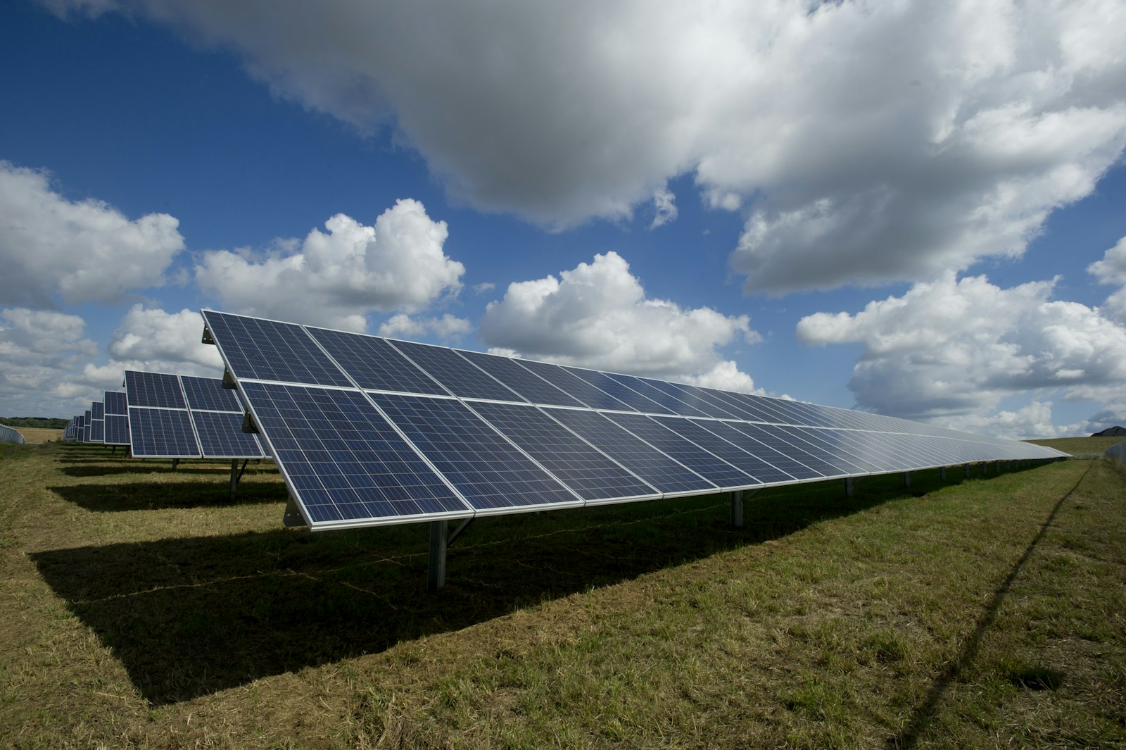 Solar panel farm at sunset