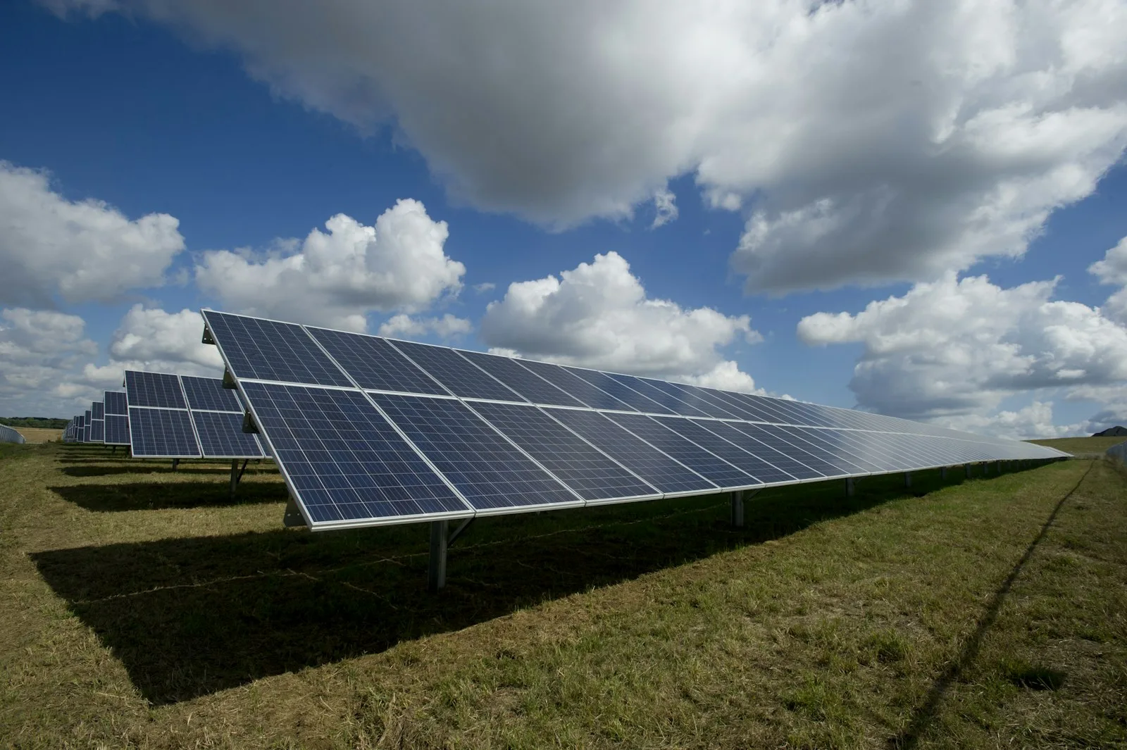 Solar panel farm at sunset