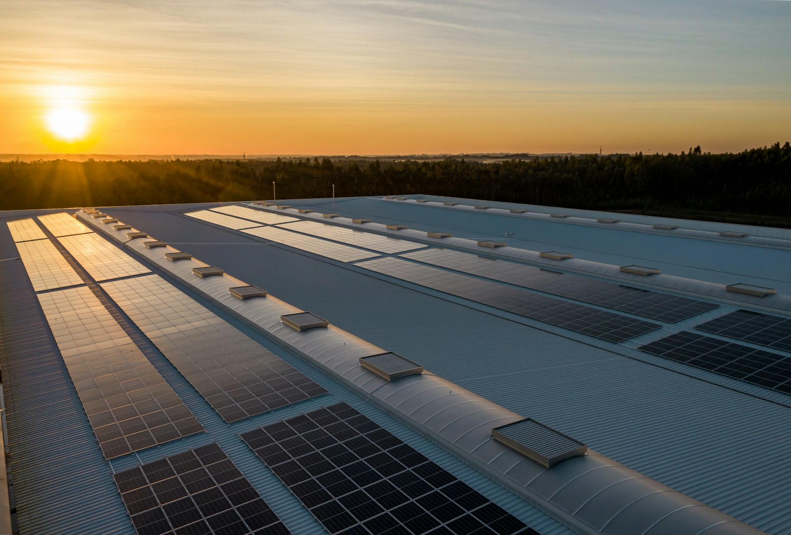 Solar farm