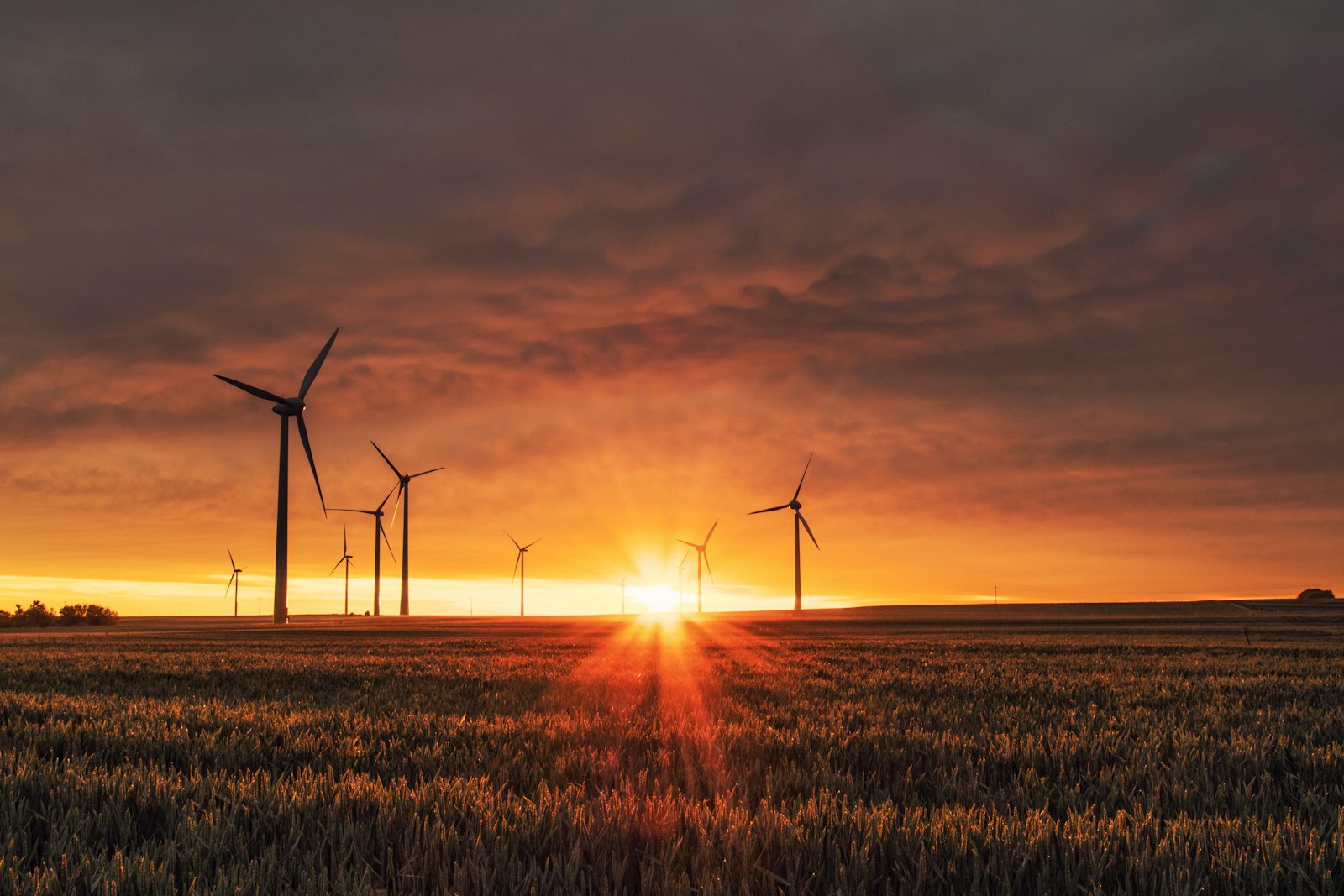 Wind turbines in green field