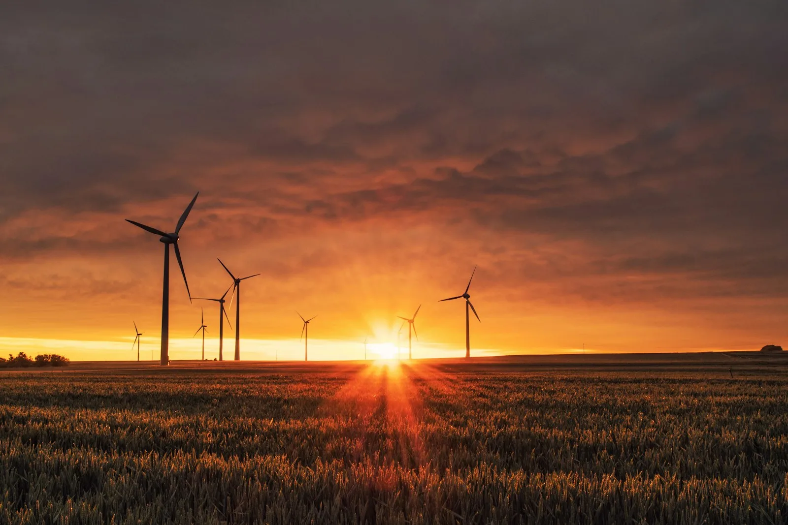 Wind turbines in green field